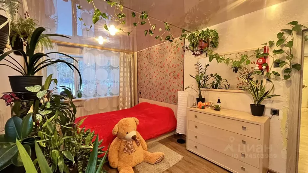 3-к кв. Коми, Сыктывкар Коммунистическая ул., 73 (61.0 м) - Фото 2