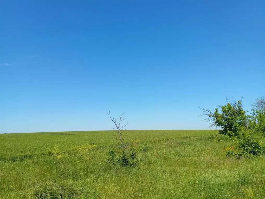 Участок в Крым, Ленинский район, Заветненское с/пос  (1.0 га.) - Фото 2