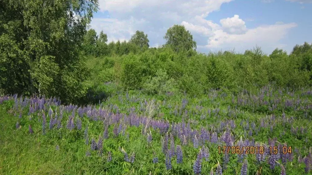 Участок в Нижегородская область, Богородский муниципальный округ, д. ... - Фото 1