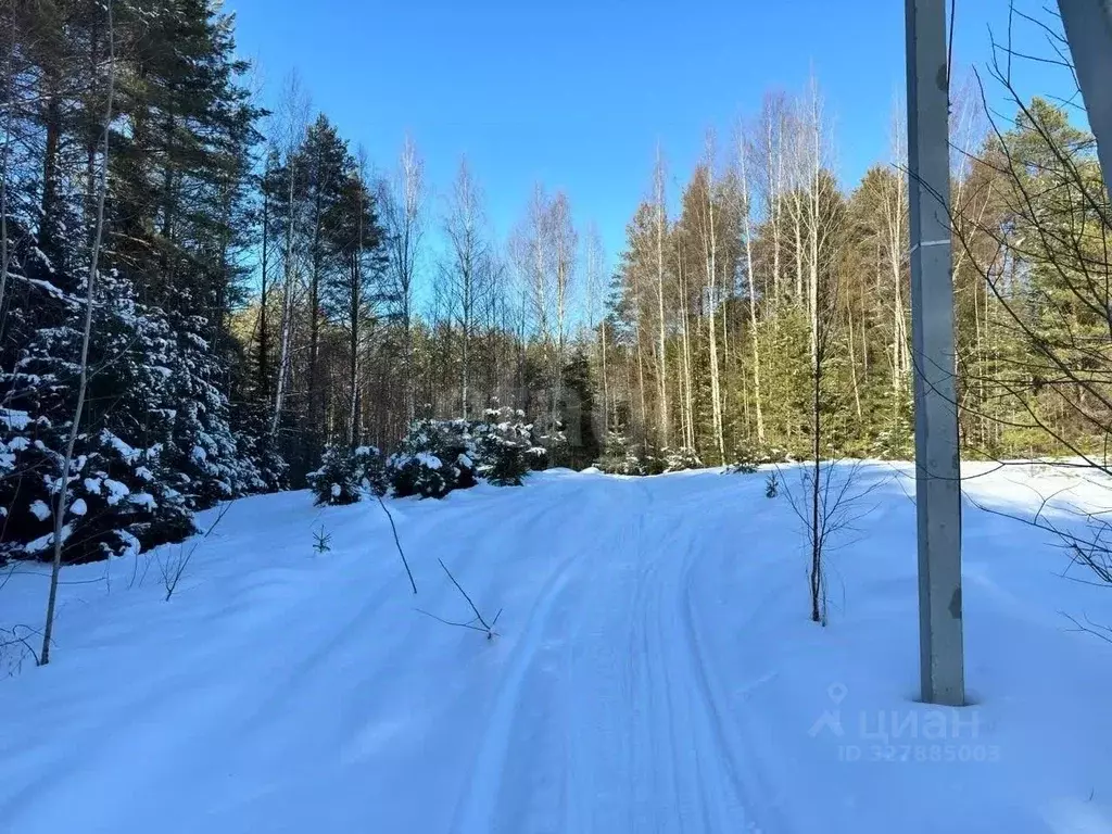 Участок в Вологодская область, Усть-Кубинский муниципальный округ, ... - Фото 2