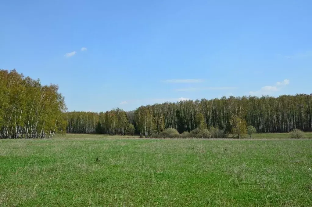 Чеховский район московской области фото Участок в Московская область, Чехов городской округ, пос. Любучаны ., Купить зем