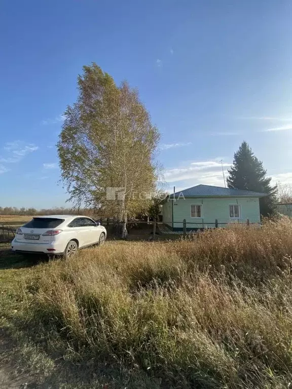 Дом в Алтайский край, Смоленский район, с. Солоновка Горная ул., 4 (53 ... - Фото 1