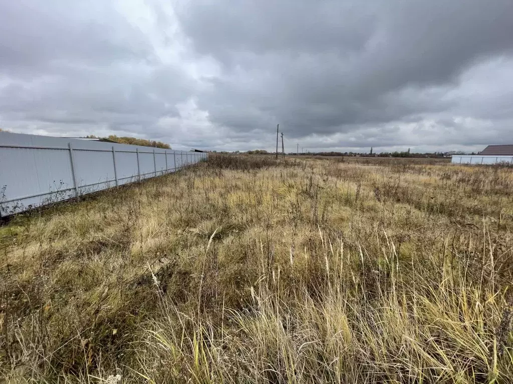 Участок в Воронежская область, с. Новая Усмань ул. Луговая (12.0 сот.) - Фото 1