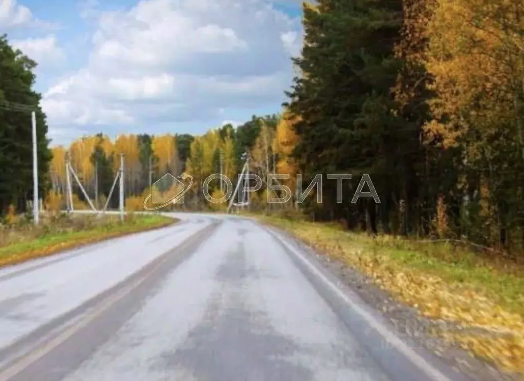 Участок в Тюменская область, Тюмень Березняки-2 садовое товарищество,  ... - Фото 1