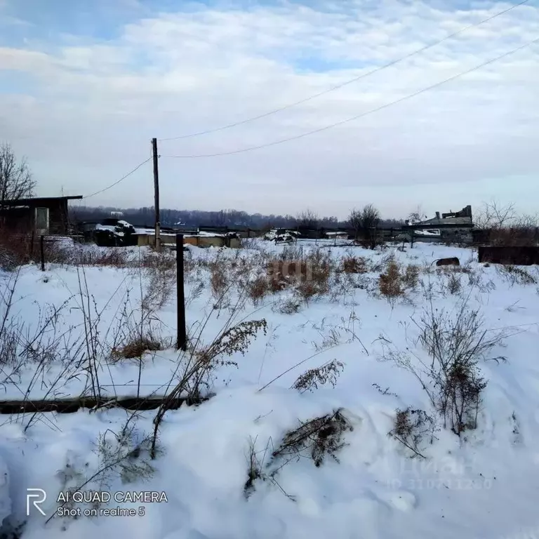 Участок в Новосибирская область, Тогучинский район, д. Калаганово  ... - Фото 1