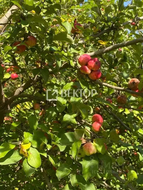 Участок в Ивановская область, Заволжский район, Волжское с/пос, д. ... - Фото 1