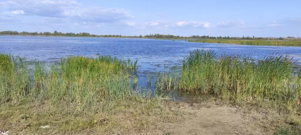 Участок в Саратовская область, с. Усть-Курдюм проезд Позитивный (2.2 ... - Фото 1