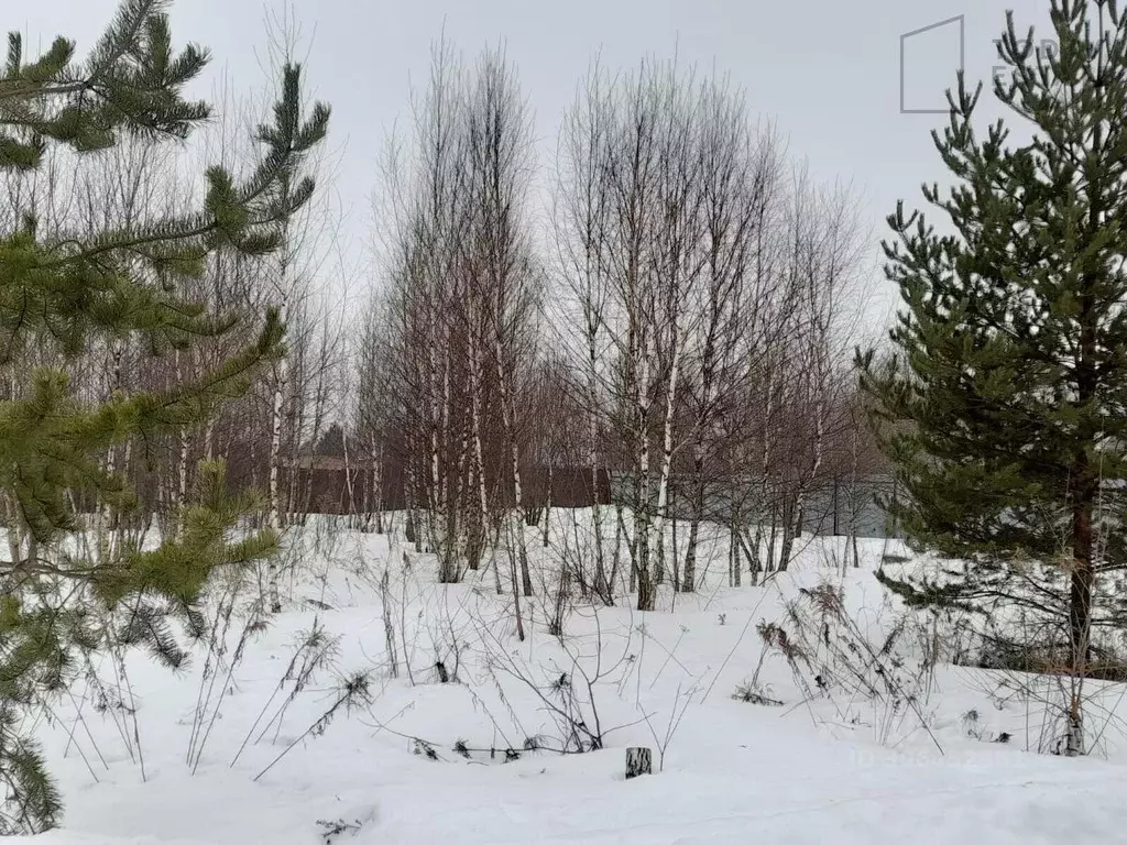 Участок в Тульская область, Ясногорский район, Иваньковское ... - Фото 0