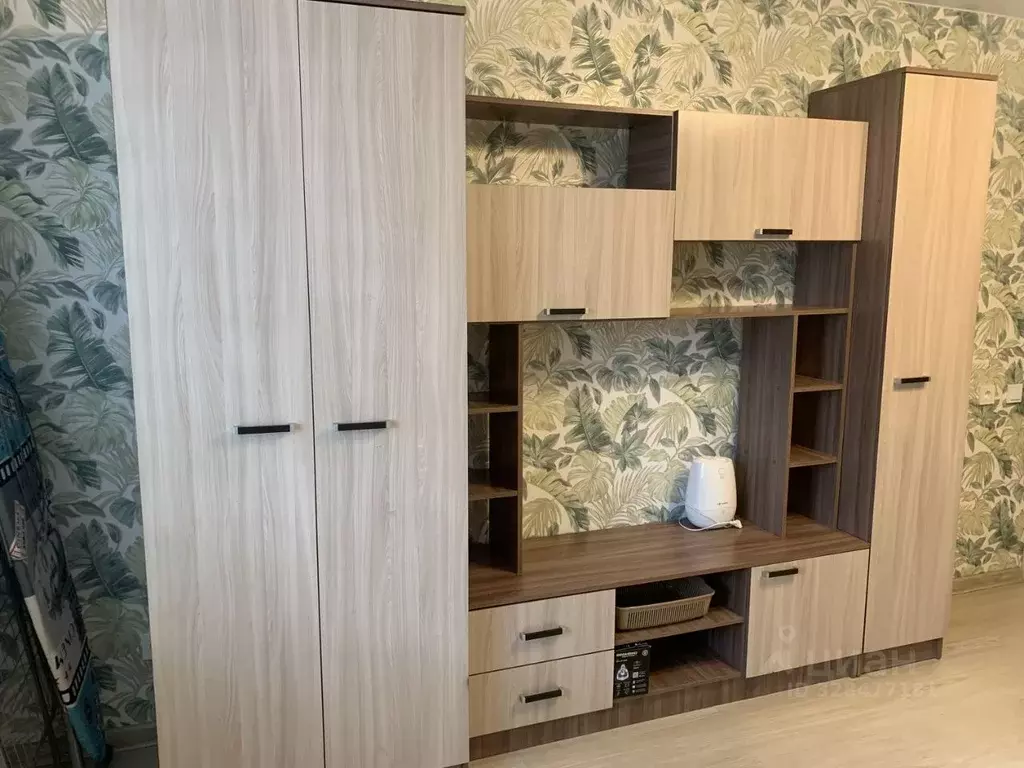 1-к кв. Санкт-Петербург пос. Парголово, Заречная ул., 13к1 (33.2 м) - Фото 2