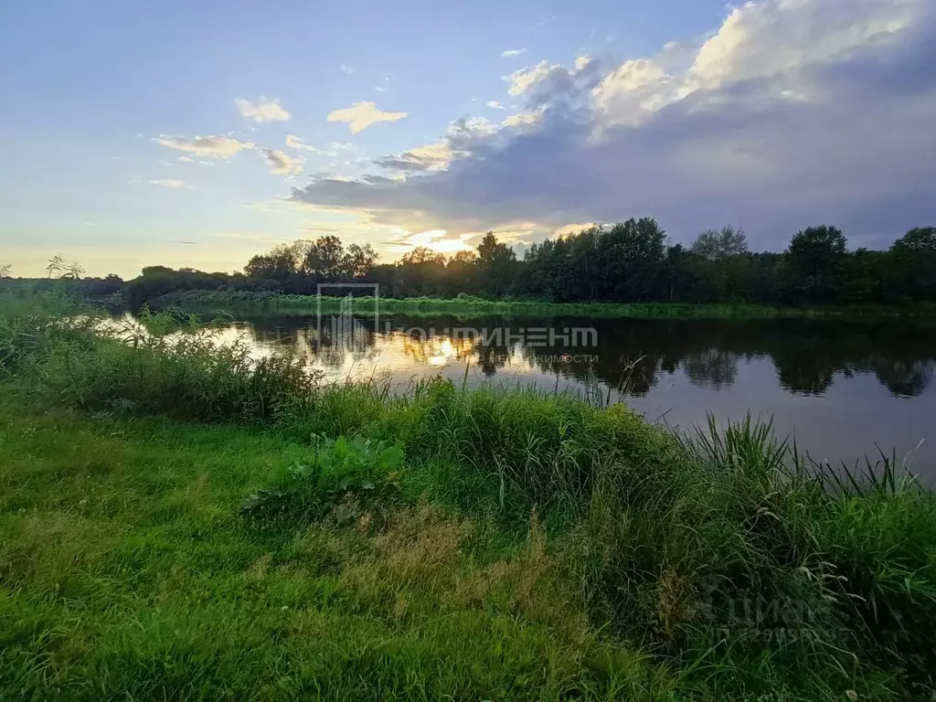 Участок в Владимирская область, Суздальский муниципальный округ, с. ... - Фото 1