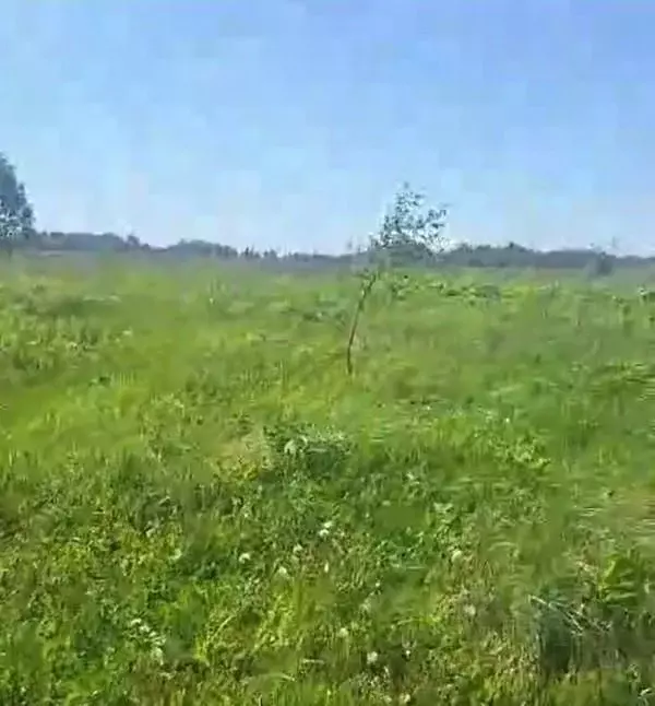 Участок в Московская область, Можайский муниципальный округ, д. ... - Фото 0