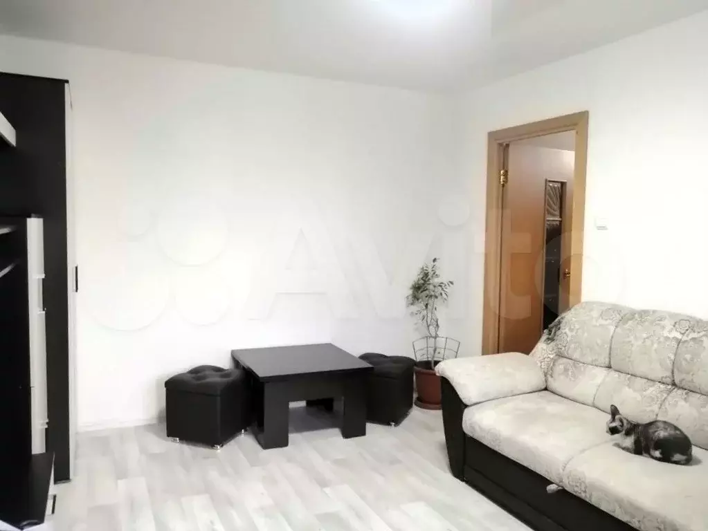 2-к. квартира, 49 м, 1/1 эт. - Фото 1
