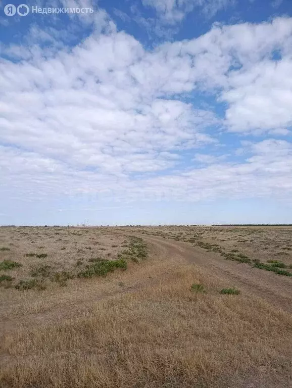 Участок в Красноперекопский район, Вишнёвское сельское поселение, село ... - Фото 1