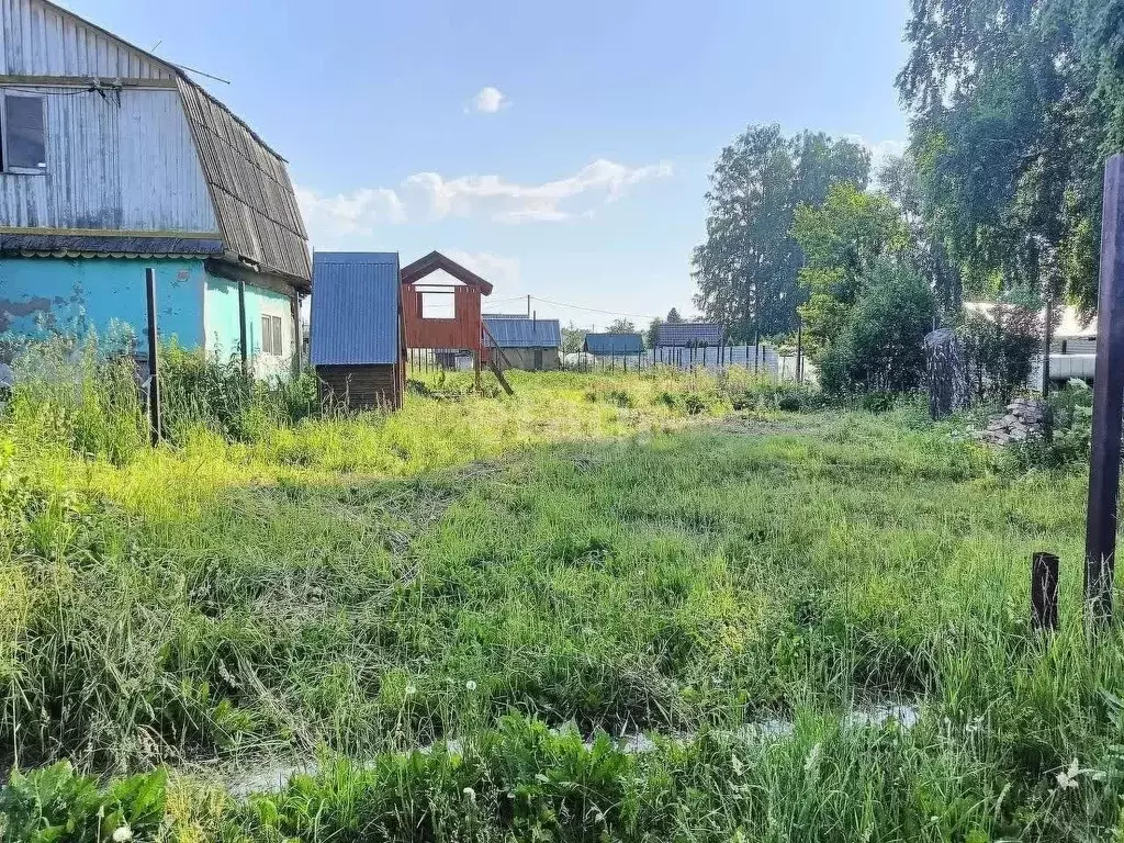 Участок в Новосибирская область, Новосибирский район, Барышевский ... - Фото 1