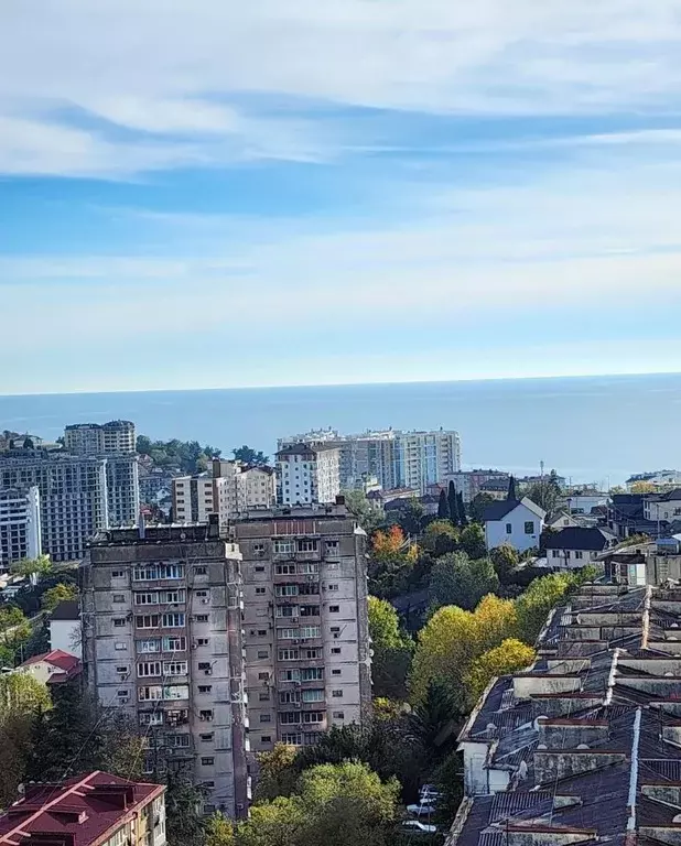 1-к кв. Краснодарский край, Сочи Ландышевая ул., 12/8 (37.0 м) - Фото 1
