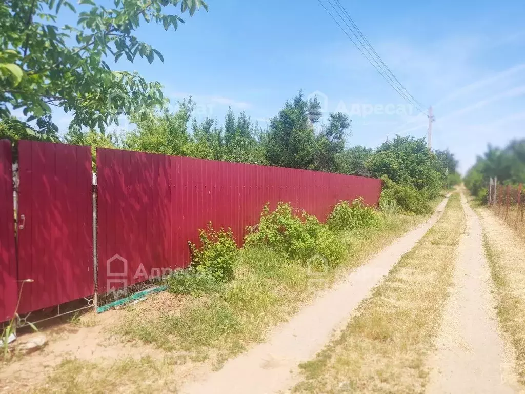 Дом в Волгоградская область, Волгоград Рябинушка СНТ,  (12 м) - Фото 1