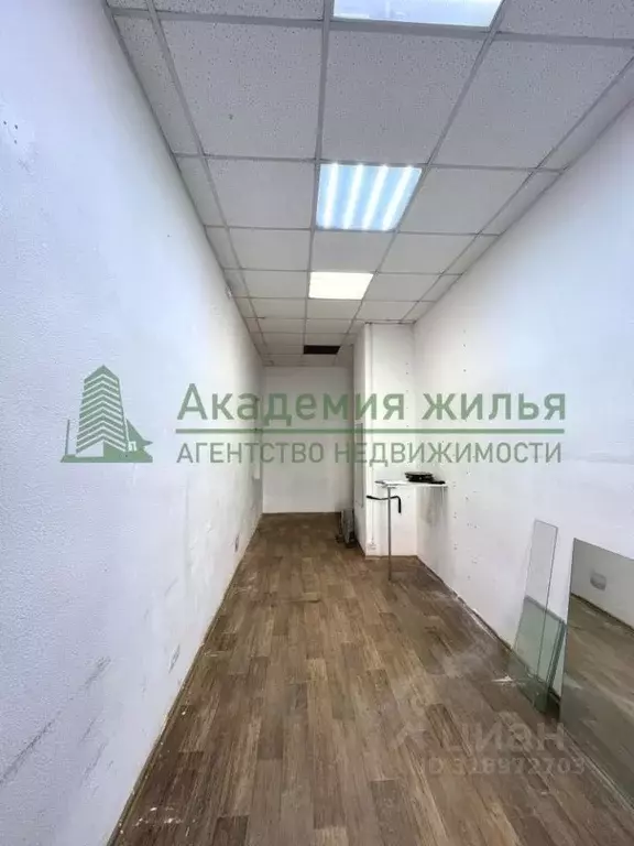 Комната Саратовская область, Саратов Соляная ул., 9 (16.7 м) - Фото 1