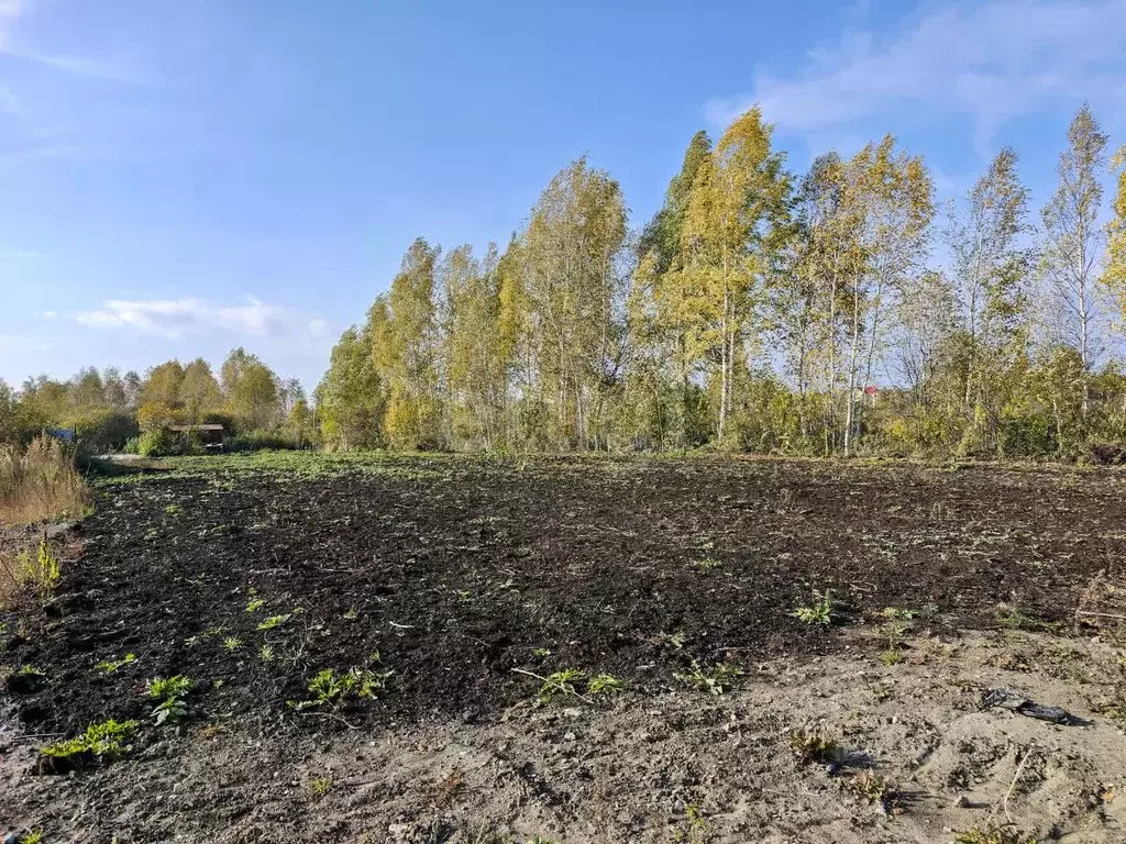 Участок в Тюменская область, Тюмень Лаванда садовое товарищество,  ... - Фото 1