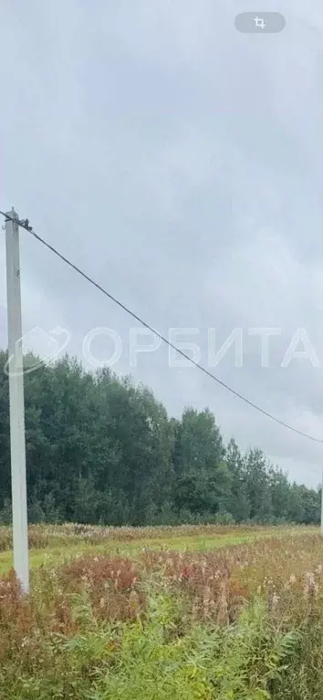 Участок в Тюменская область, Тюменский муниципальный округ, с. Кулига, ... - Фото 2