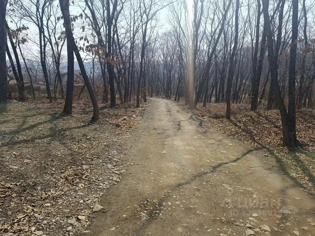 Участок в Приморский край, Находка Кедр кп, ул. Ольховая, 59 (10.0 ... - Фото 2