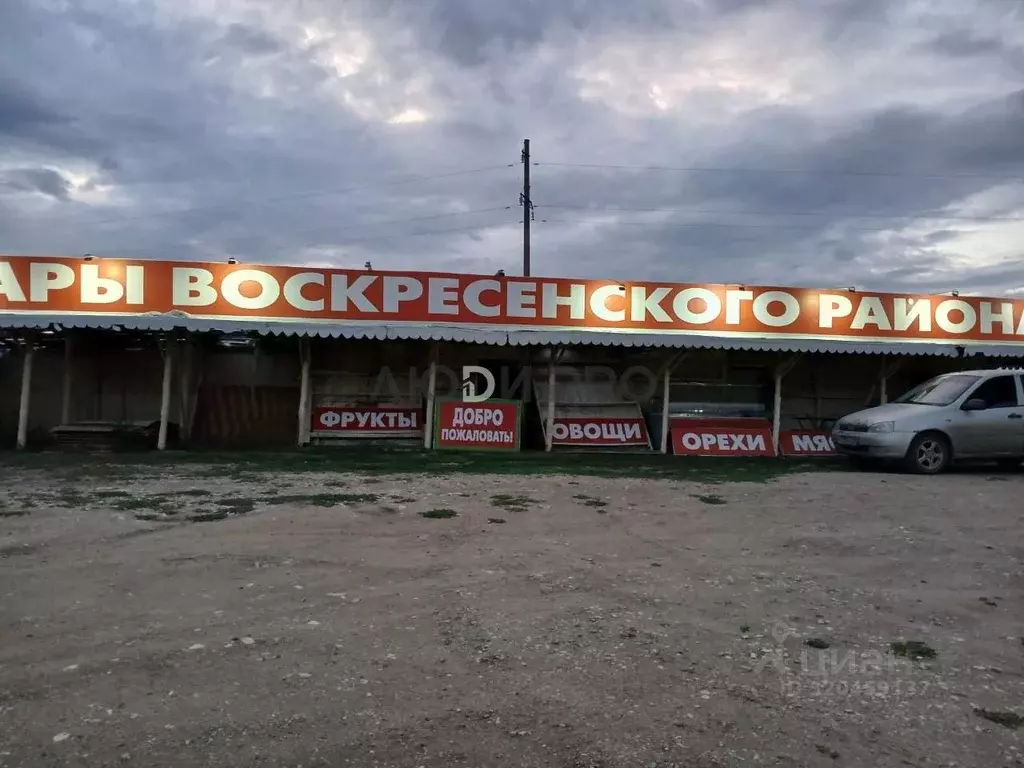 Участок в Саратовская область, Воскресенский район, Елшанское ... - Фото 2