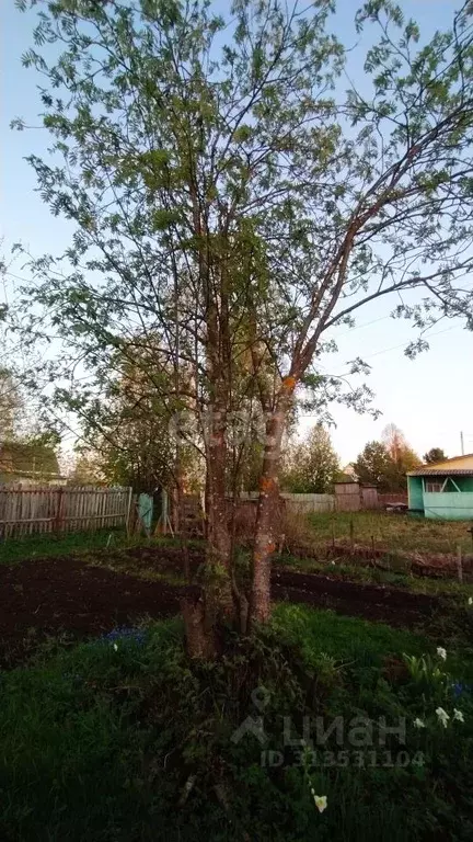 Участок в Архангельская область, Котласский муниципальный округ, ... - Фото 1