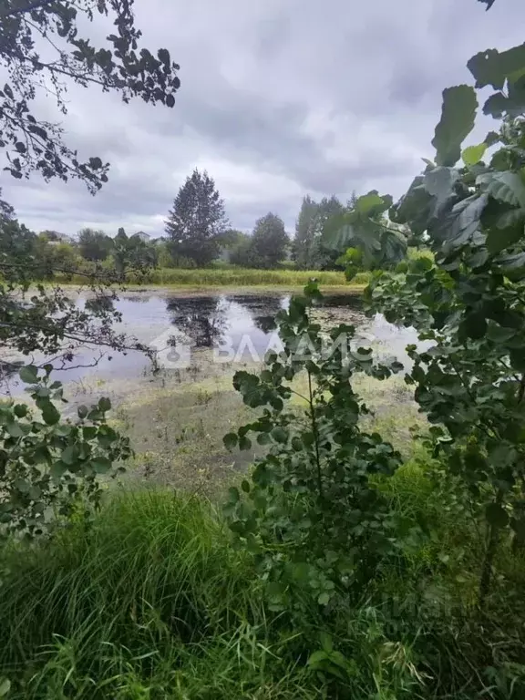 Участок в Татарстан, Зеленодольский район, Айшинское с/пос, д. Красный ... - Фото 2