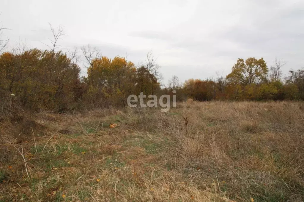 Участок в Краснодарский край, Северский район, Ильское городское ... - Фото 0