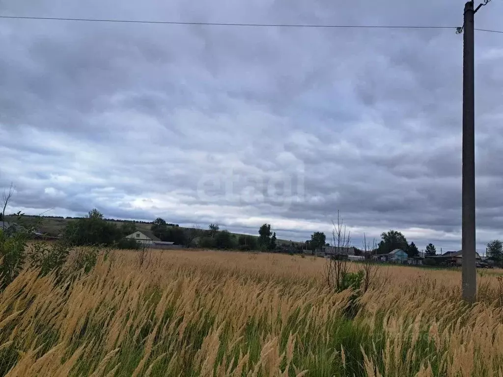 Участок в Мордовия, Саранск городской округ, д. Ивановка ул. ... - Фото 1