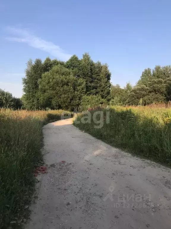 Участок в Калужская область, Перемышльский район, Большие Козлы с/пос, ... - Фото 1