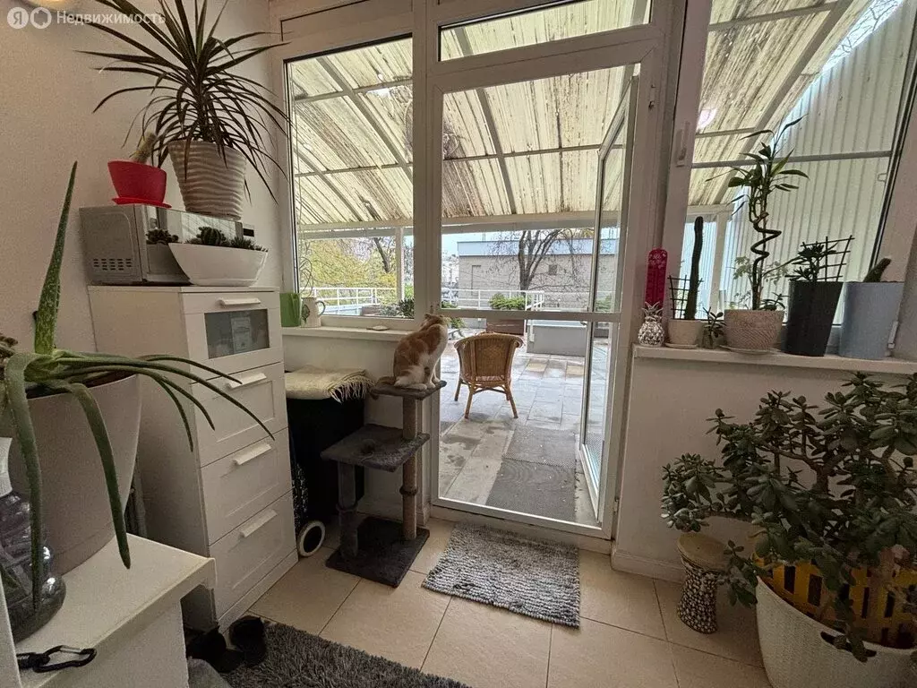 2-комнатная квартира: Ростов-на-Дону, переулок Семашко, 113 (44 м) - Фото 1