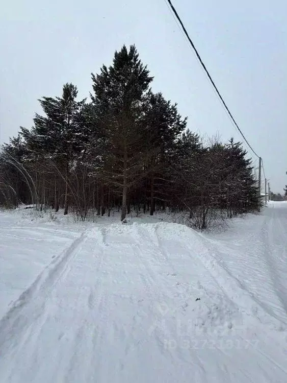 Участок в Иркутская область, Иркутский муниципальный округ, пос. Падь ... - Фото 2