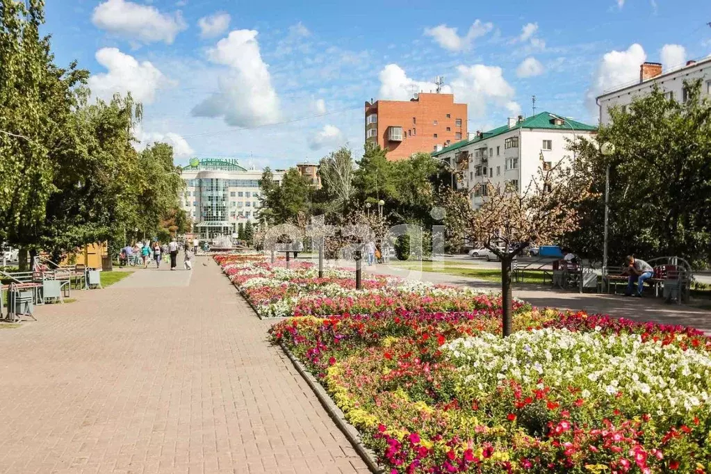 Студия Тюменская область, Тюмень ул. Республики, 167а (18.0 м) - Фото 1