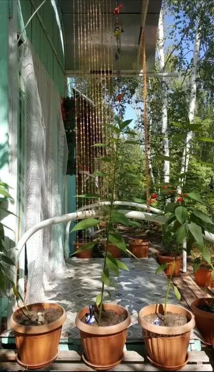 Дом в Саха (Якутия), Якутск городской округ, с. Владимировка ул. ... - Фото 1