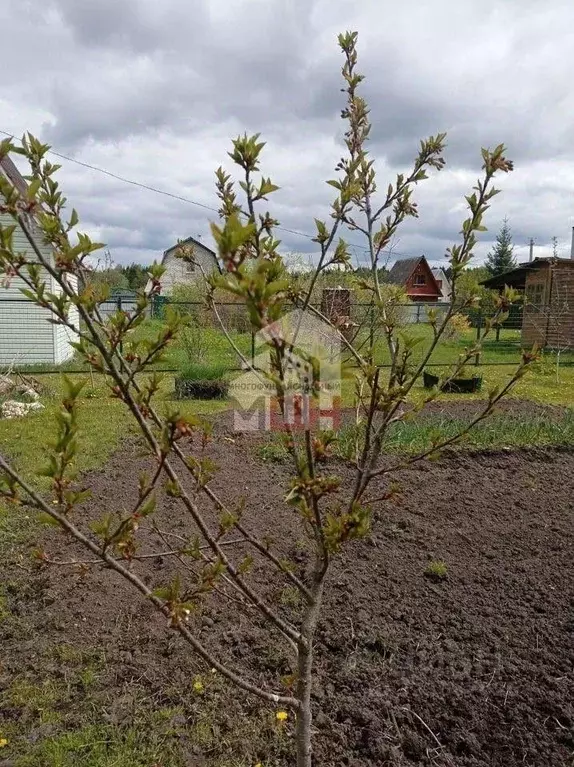 Дом в Тверская область, Конаковский муниципальный округ, Прогресс СНТ  ... - Фото 2