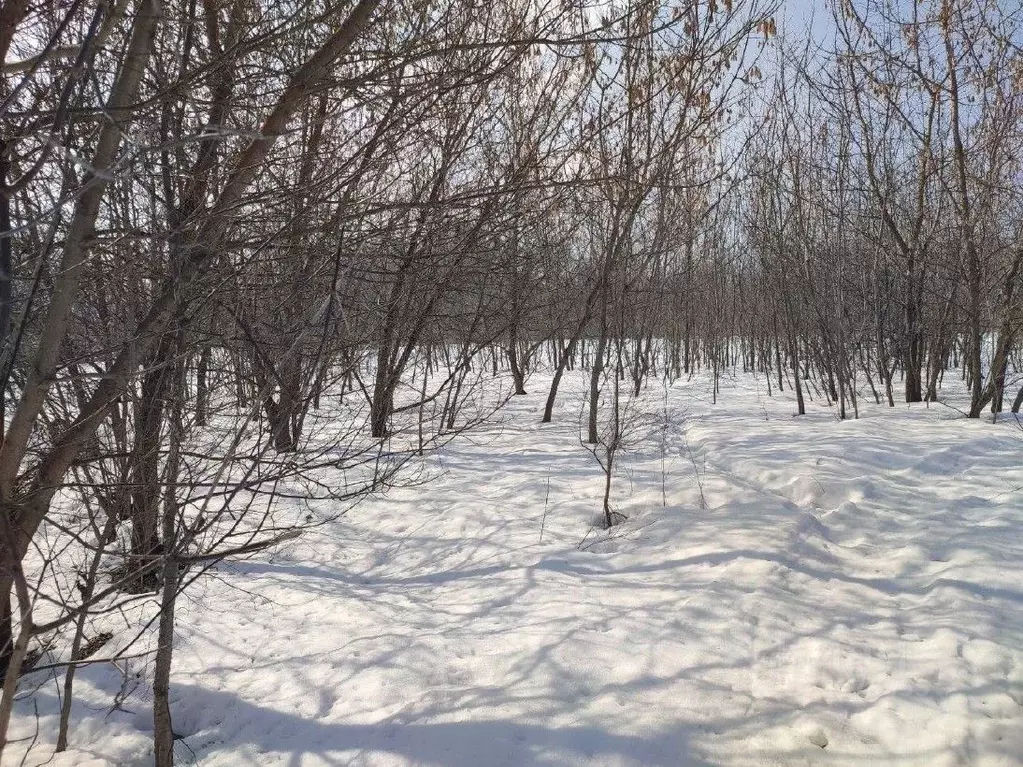 Участок в Московская область, Ступино Белопесоцкая ул. (14.0 сот.) - Фото 1