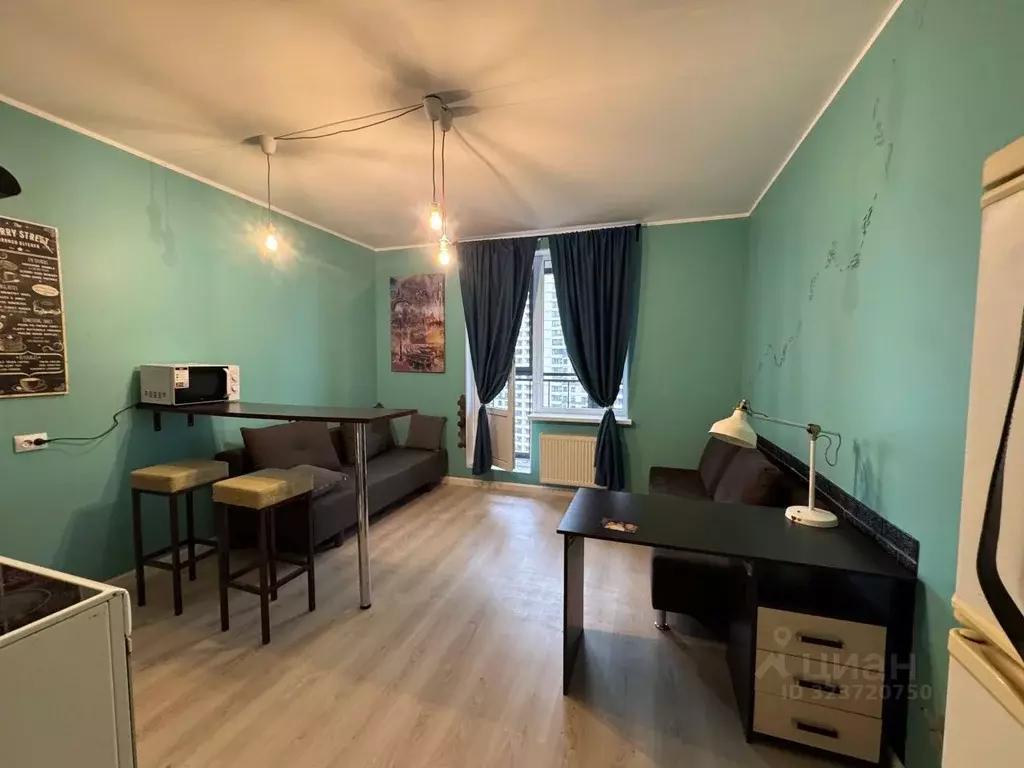 Студия Санкт-Петербург ул. Русановская, 19к3 (27.3 м) - Фото 1