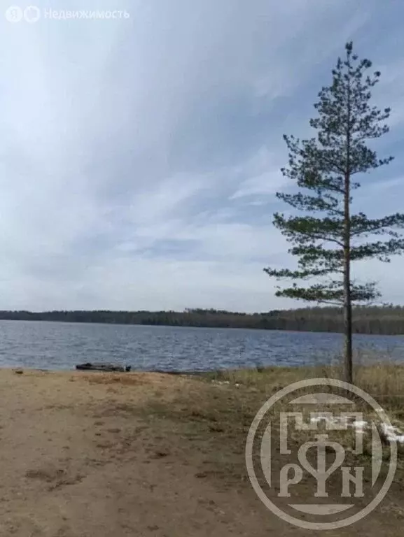 Участок в Токсовское городское поселение, КП Экофорест (8 м) - Фото 2