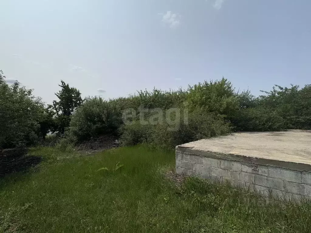 Участок в Белгородская область, Белгородский район, Никольское с/пос, ... - Фото 1