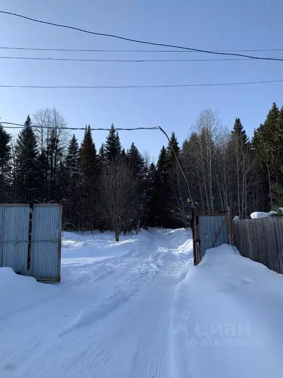 Участок в Пермский край, Пермский муниципальный округ  (6.0 сот.) - Фото 1