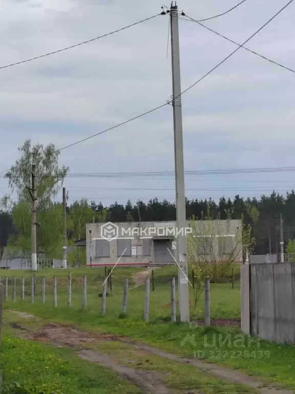 Участок в Брянская область, Выгоничский район, Хутор-Борское с/пос, ... - Фото 2