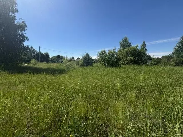 Участок в Московская область, Воскресенск городской округ, д. Щельпино ... - Фото 2