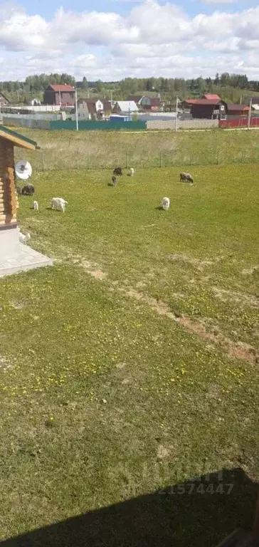 Дом в Московская область, Можайский муниципальный округ, д. Ваулино  ... - Фото 2