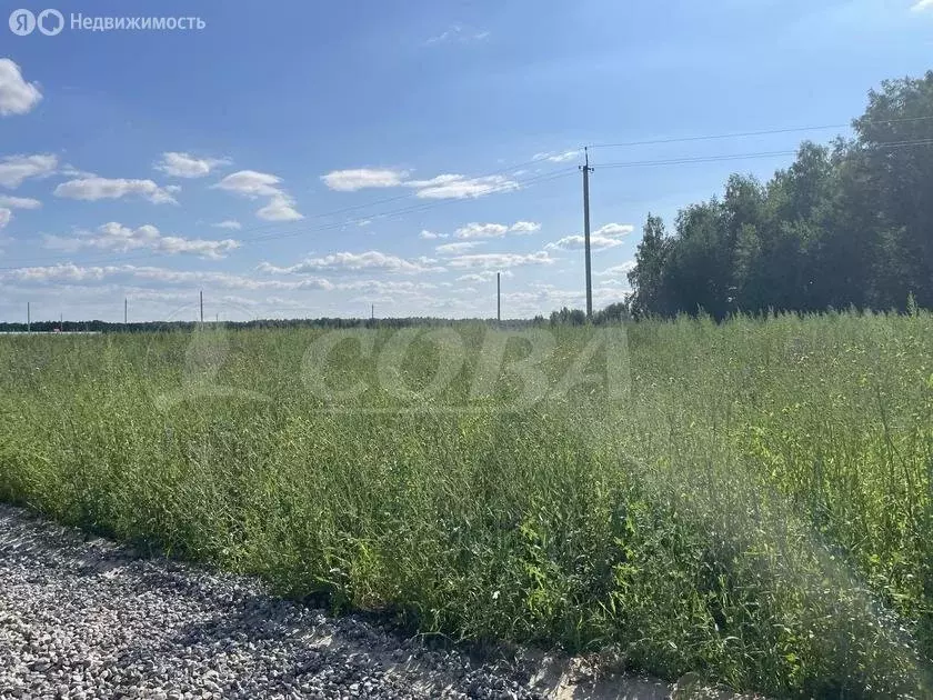 Участок в село Мальцево (22.3 м) - Фото 0