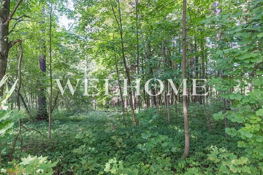 Продается участок в пос. Барвиха - Фото 2