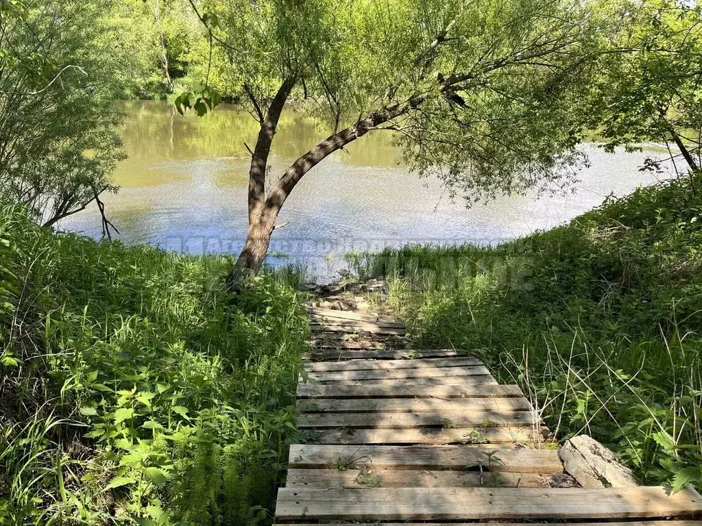 Участок в Смоленская область, Смоленский муниципальный округ, д. ... - Фото 2