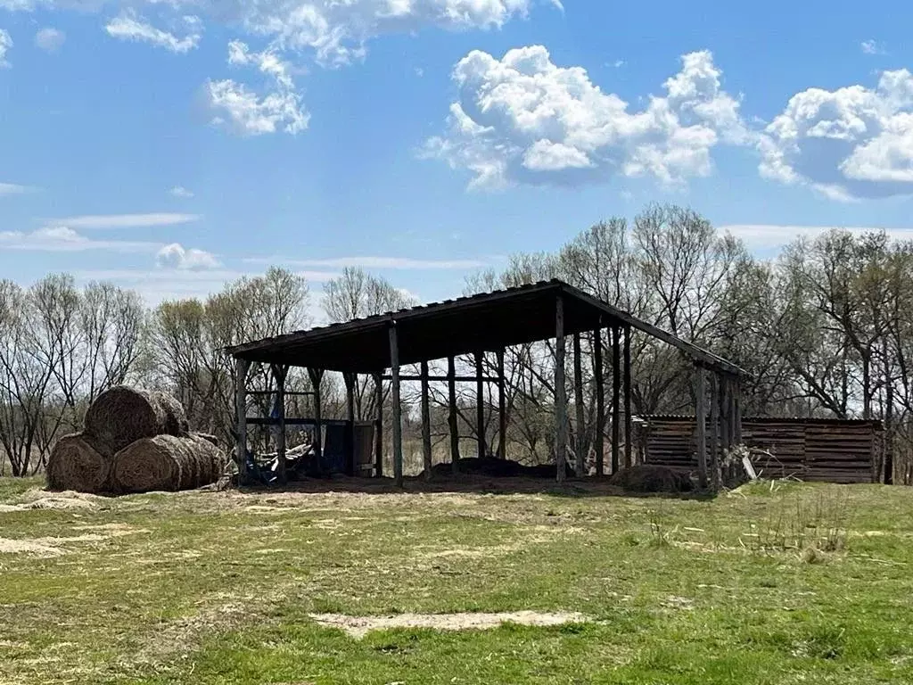 Участок в Хабаровский край, Имени Лазо район, с. Георгиевка  (277.0 ... - Фото 0
