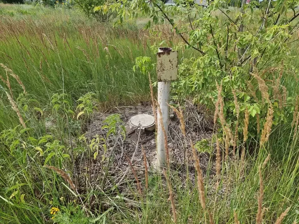 Участок в Липецкая область, Липецкий муниципальный округ, с. Ленино  ... - Фото 1