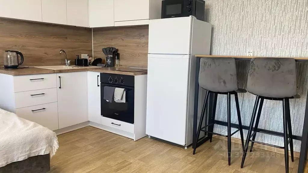 Студия Челябинская область, Челябинск Набережная ул., 5В (24.0 м) - Фото 1