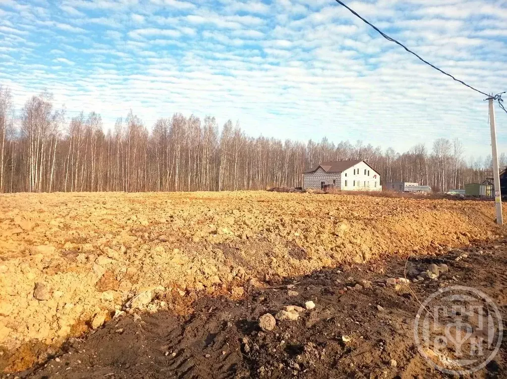 Участок в Санкт-Петербург пос. Парголово, Вокзальное ш. (12.0 сот.) - Фото 2